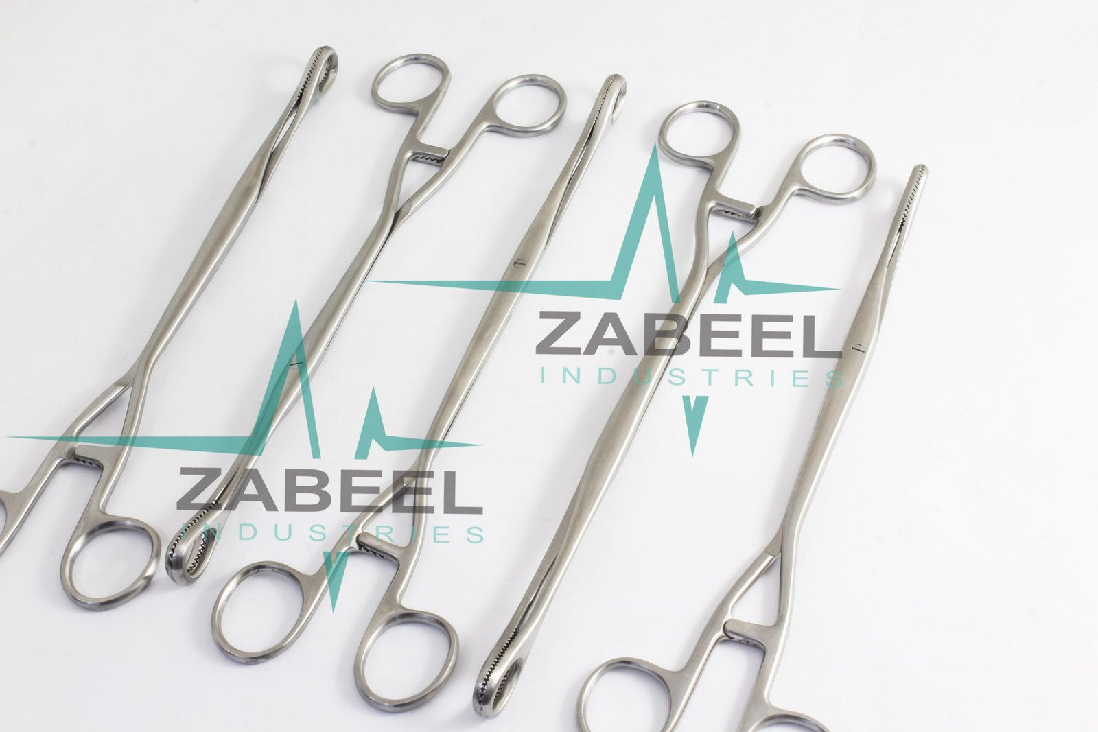 IMG_2733-min-1-scaled