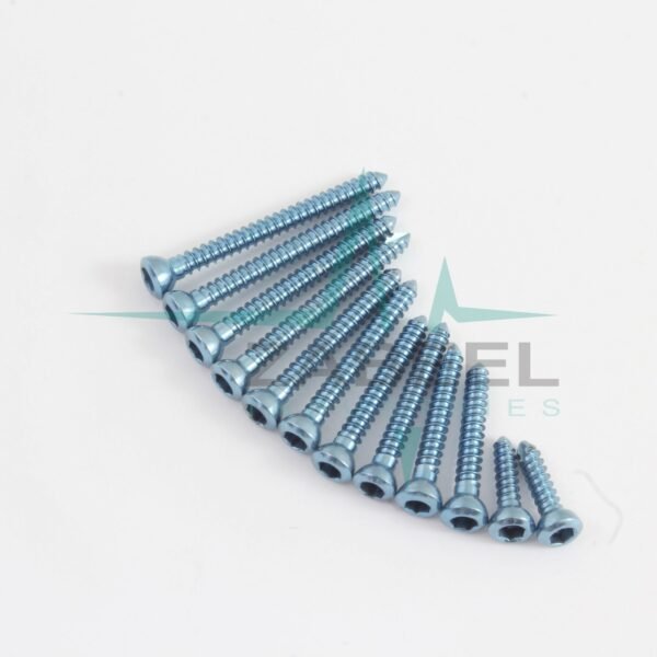 2.7mm CorticalCortex Screws Self Tapping 110 PCs Set Ortho Vet Titanium ZaBeel ZOS-1012