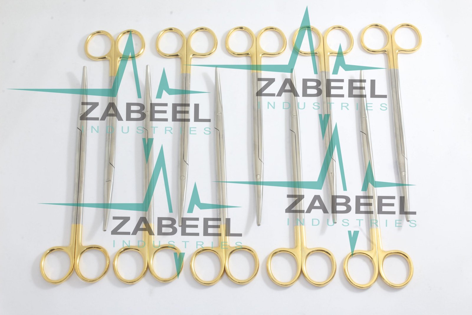 IMG_6828-min-1-scaled