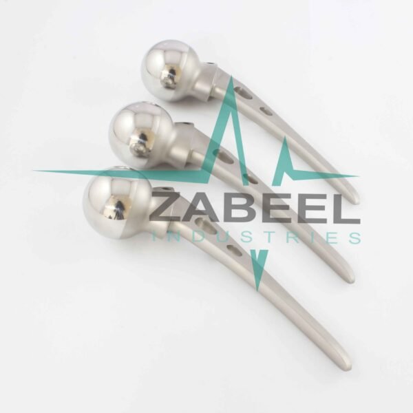 Austin Moore Hip Prosthesis 3PCs Standard Stem Implant Orthopedic Instrument by ZaBeel Industries