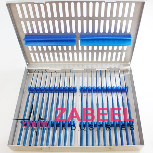 Rhoton micro dissector expanded 20 PCs set Plasma Coating Titanium Blue Color Steel case Dental Instrument