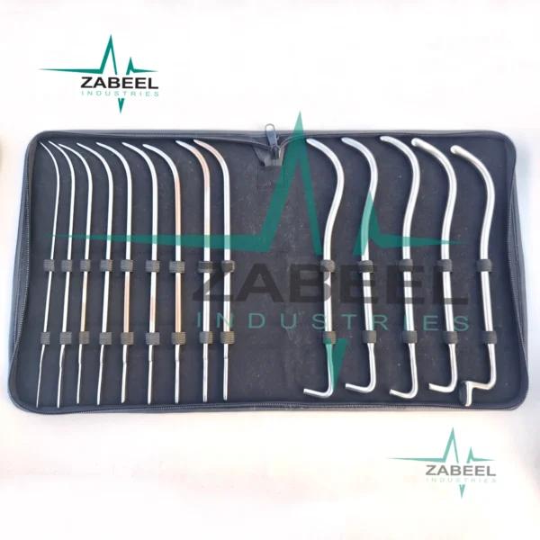 Set Of 4 PCs Rhinoplasty Fomon Double-Ended Nasal Rasp Surgical Instruments By ZaBeel Industries