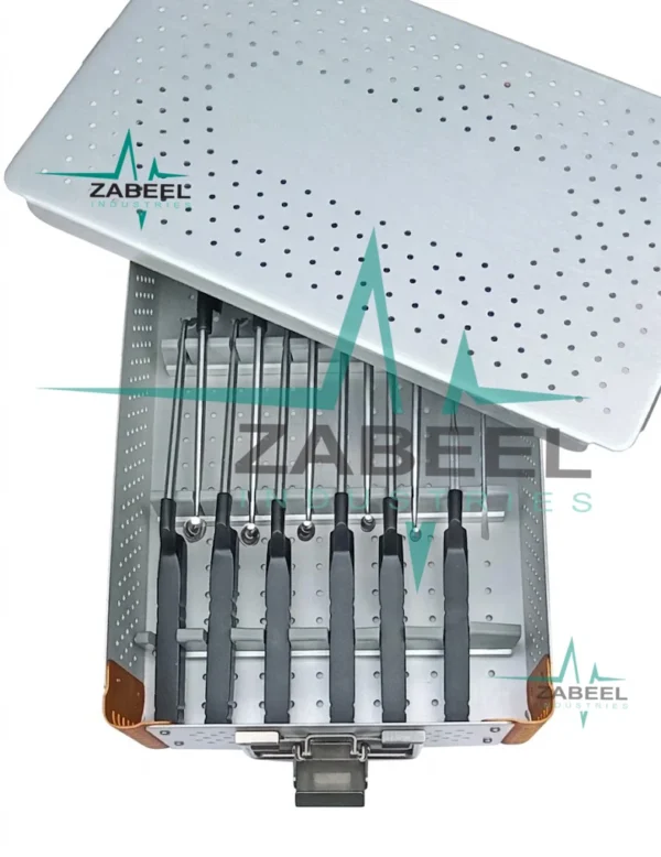 MICROSECT Curette Kit By ZaBeel Industries